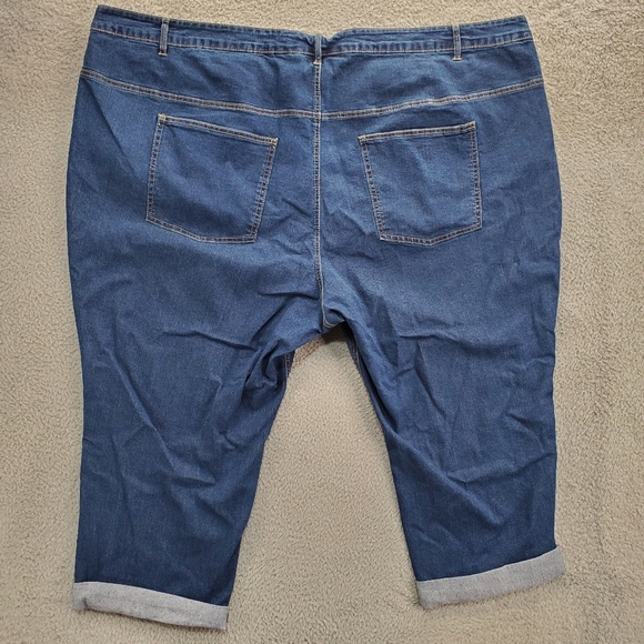 Woman Within Cropped Jeans Embroidered Floral Womens Plus Size 36W Blue - Picture 6 of 10